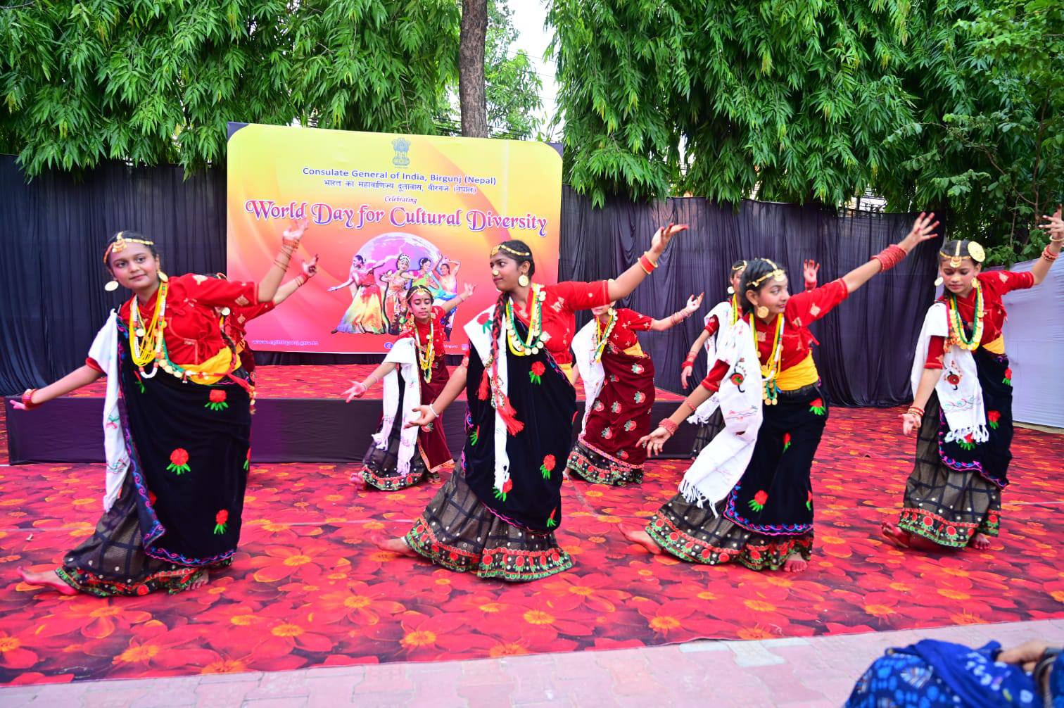 Celebrations of  World Day for Cultural Diversity at Consulate